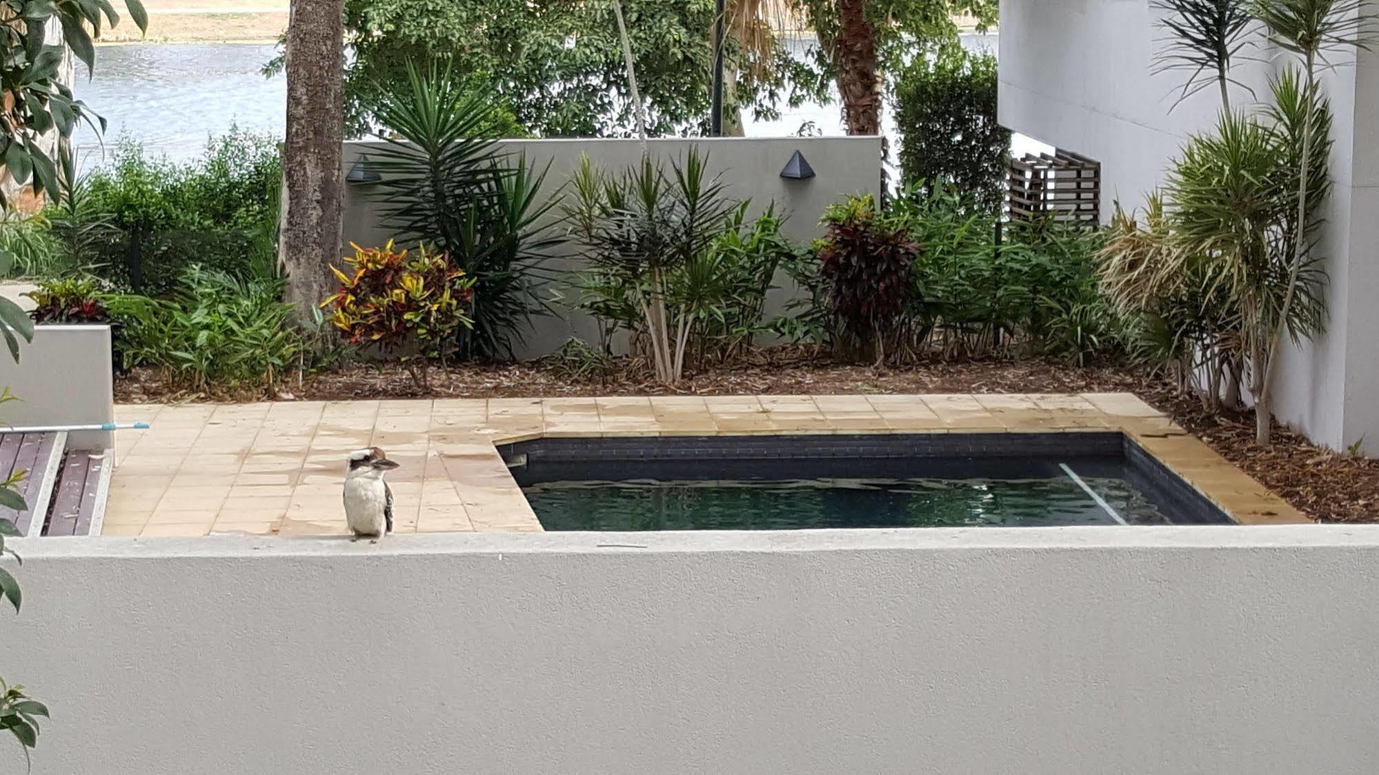 Jacana Apartments Townsville Extérieur photo
